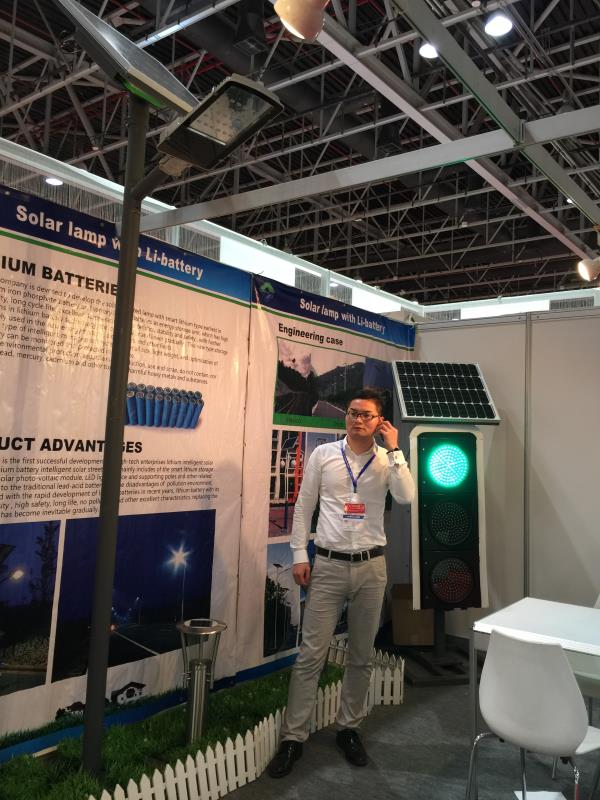 2015 year dubai lighting show